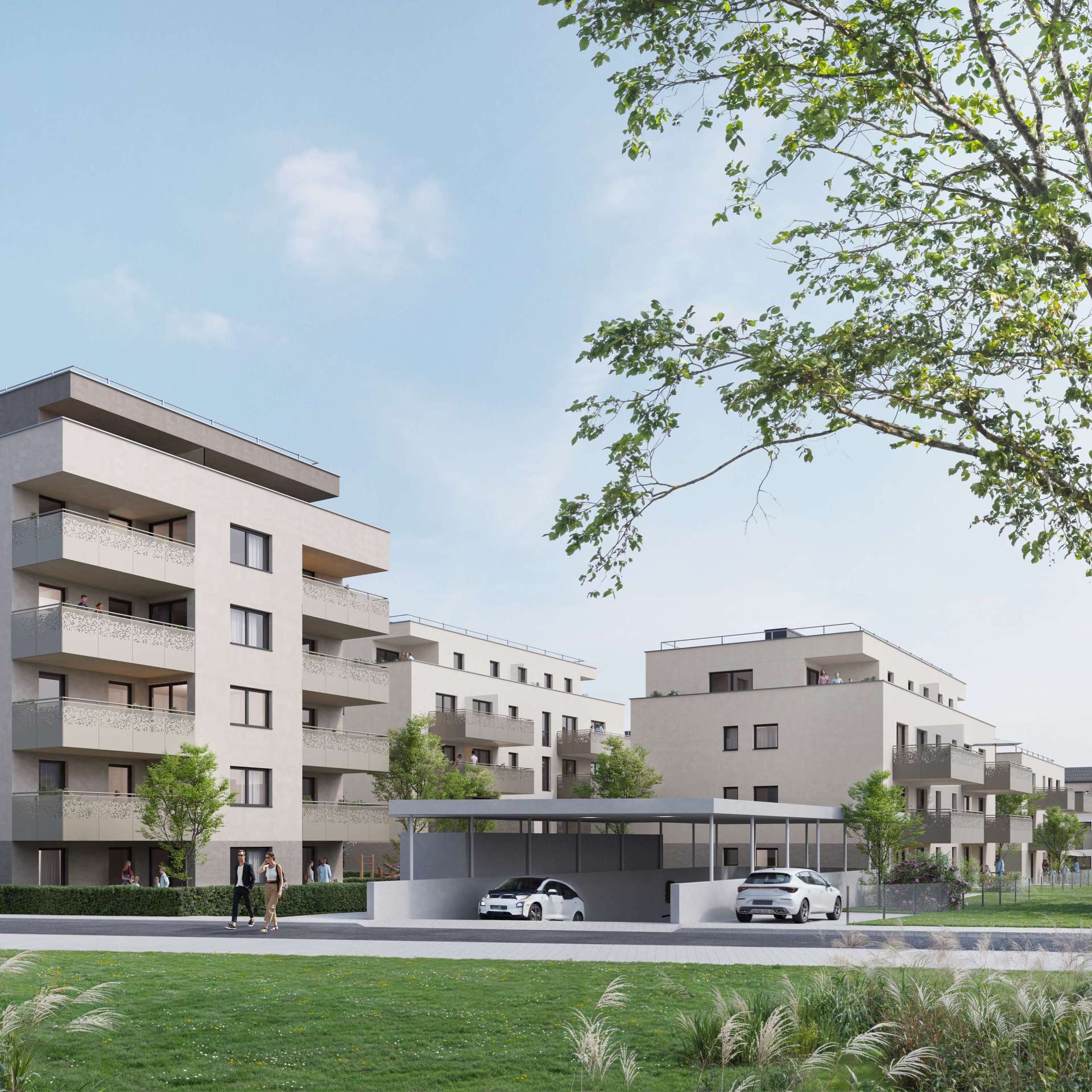 Ein Nest, das groß genug für alle Träume ist.